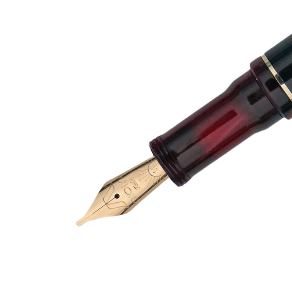 Gioia Alleria Amaranto Fountain Pen