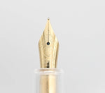 Eyedropper Fountain Pen: Fine Nib
