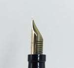 Montegrappa Reminiscence Fountain Pen: 14k Gold Fine Nib