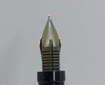 Montegrappa Reminiscence Fountain Pen: 14k Gold Fine Nib